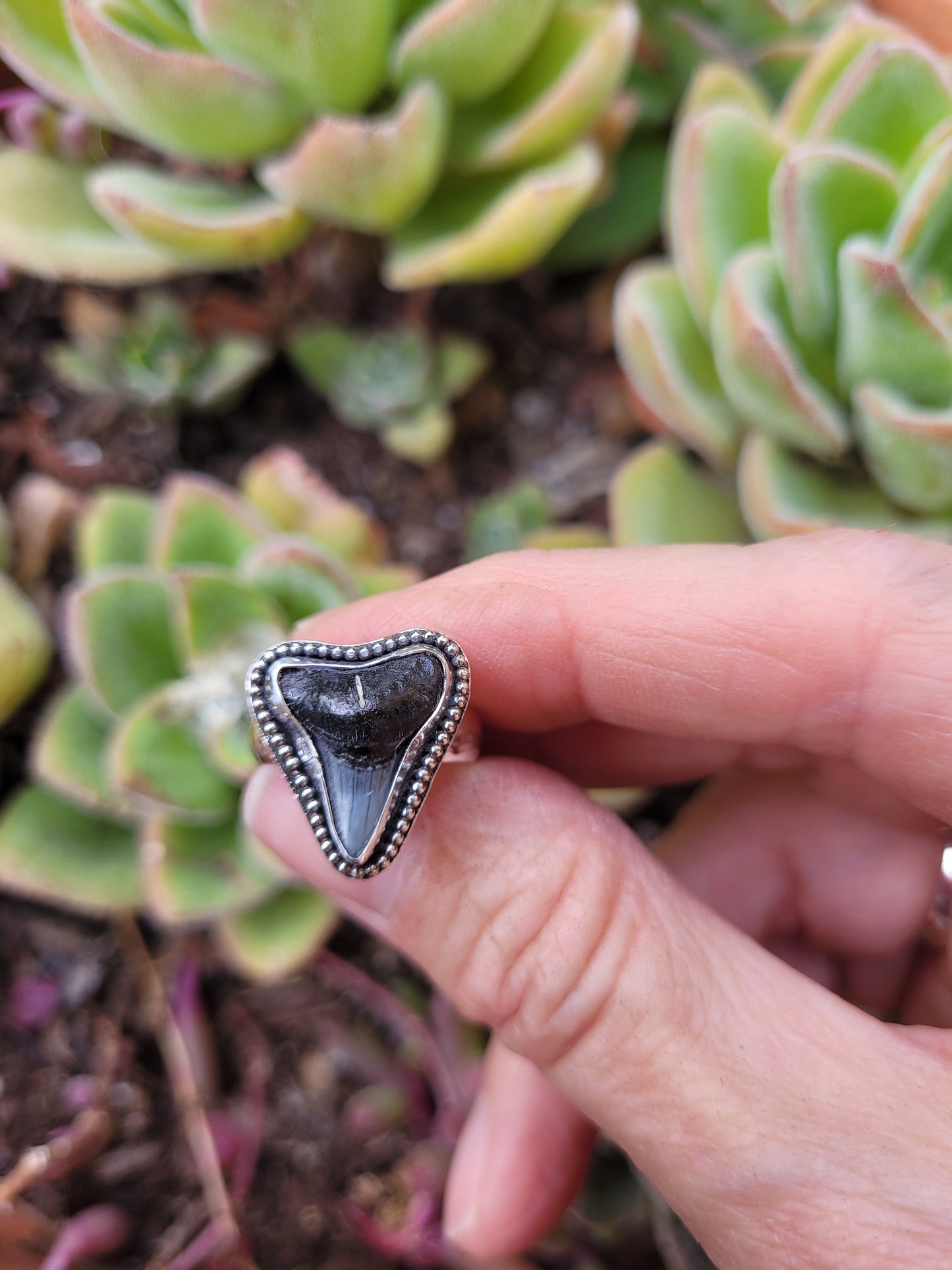 Bull shark tooth ring